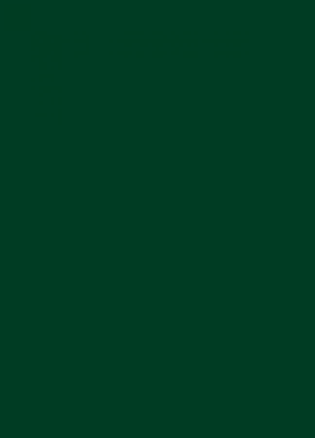 Фасады Фасад из акрила 060 Dark Green (Темно-зеленый) на заказ в Керчи Фасады Фасад из акрила 060 Dark Green (Темно-зеленый) на заказ в Керчи фотография