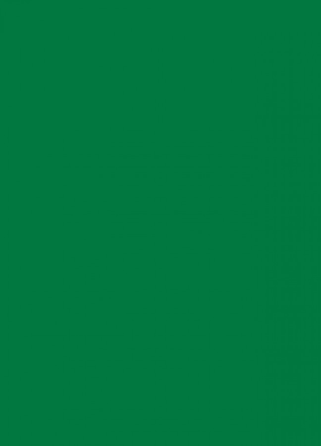 Фасады Фасад из акрила 068 Grass green (Травянисто-зеленый) на заказ в Керчи Фасады Фасад из акрила 068 Grass green (Травянисто-зеленый) на заказ в Керчи фотография