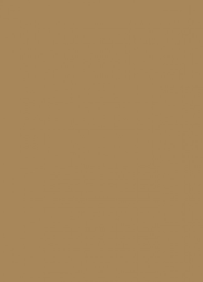 Фасады Фасад из акрила 081 Light brown (Светло-коричневый) на заказ в Керчи Фасады Фасад из акрила 081 Light brown (Светло-коричневый) на заказ в Керчи фотография