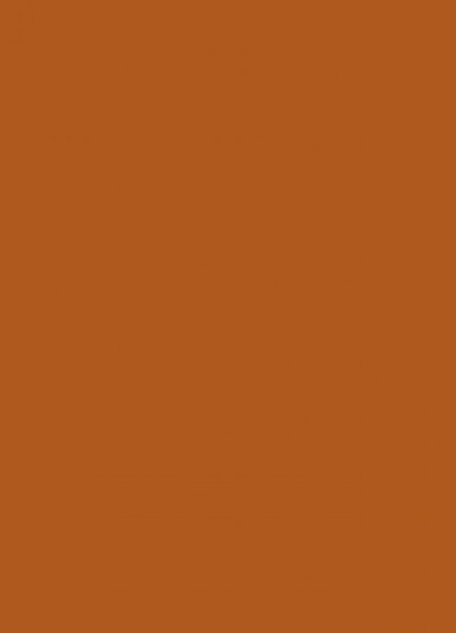 Фасады Фасад из акрила 083 Nut brown (Ореховый) на заказ в Керчи фотография